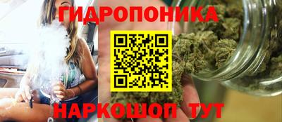стафф Туймазы