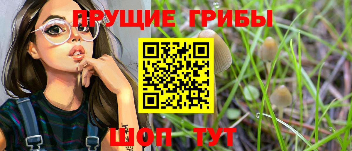 Галлюциногенные грибы мухоморы  Вход с VPN  Баксан 